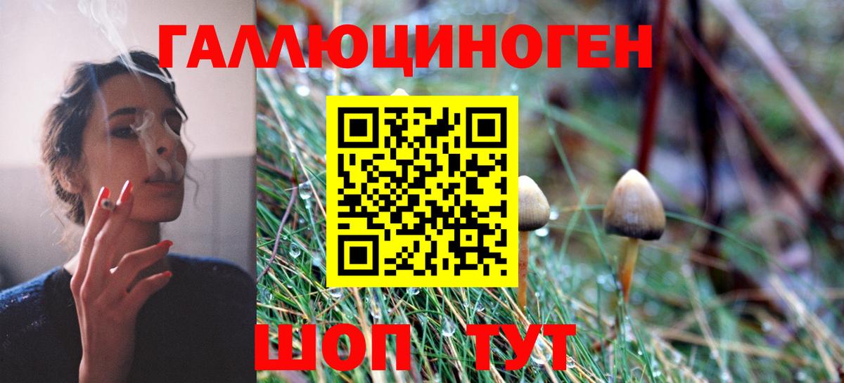 Псилоцибиновые грибы GOLDEN TEACHER Заречный
